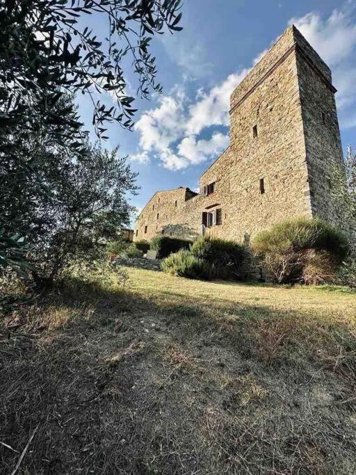 Сasa de vacaciones Medieval Tower In Umbria With Swimming Pool *
