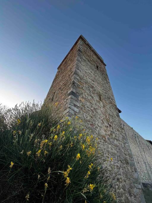 Medieval Tower In Umbria With Swimming Pool * Montelagello